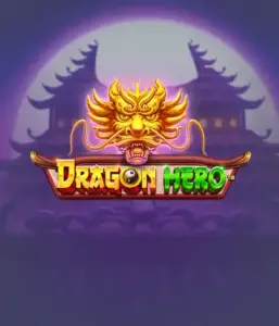 Embark on a legendary quest with Dragon Hero by Pragmatic Play, highlighting breathtaking graphics of powerful dragons and epic encounters. Venture into a realm where magic meets adventure, with featuring treasures, mystical creatures, and enchanted weapons for a mesmerizing adventure.